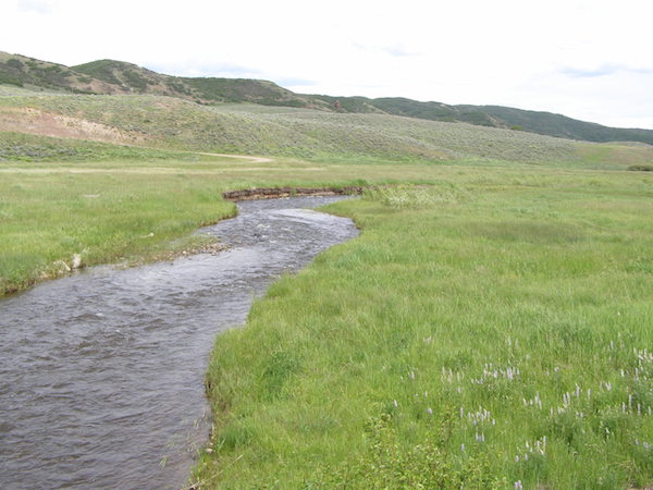 Trout Creek Basin - Site of Proposed Hydro Project (P-62603), Colorado